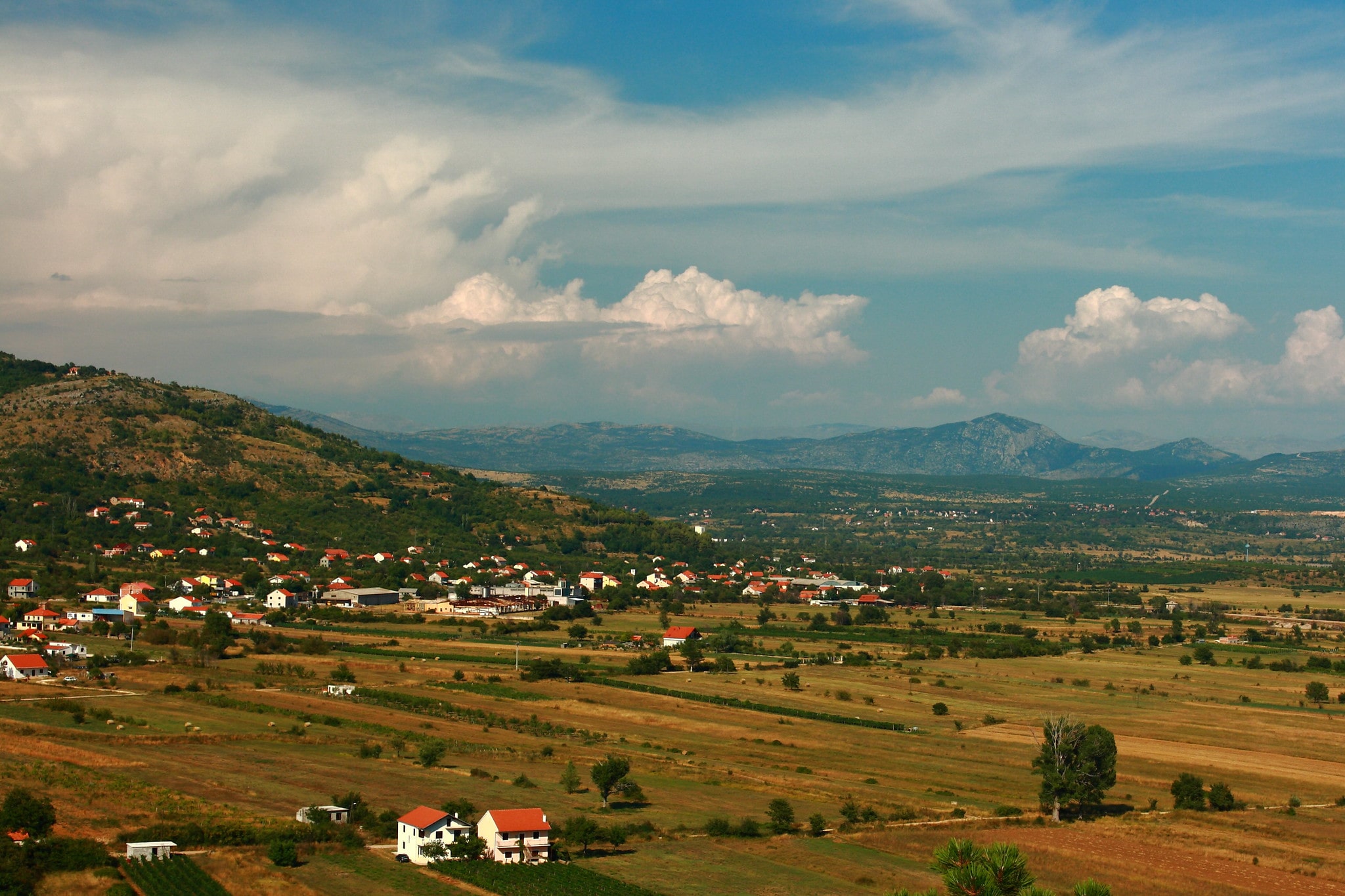 Drniš